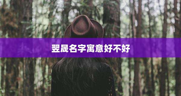 翌晟名字寓意好不好