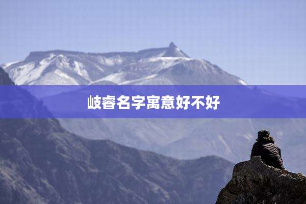 岐睿名字寓意好不好