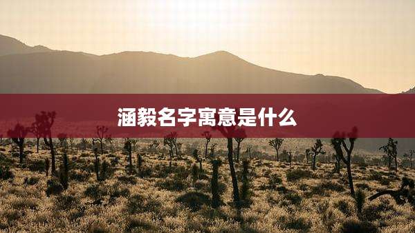 涵毅名字寓意是什么