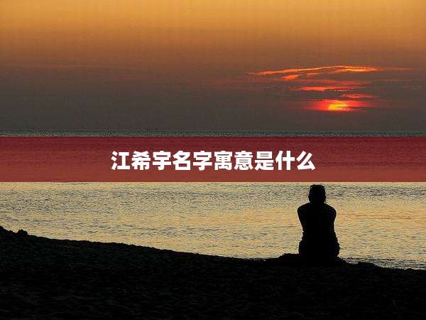 江希宇名字寓意是什么