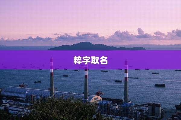 粹字取名
