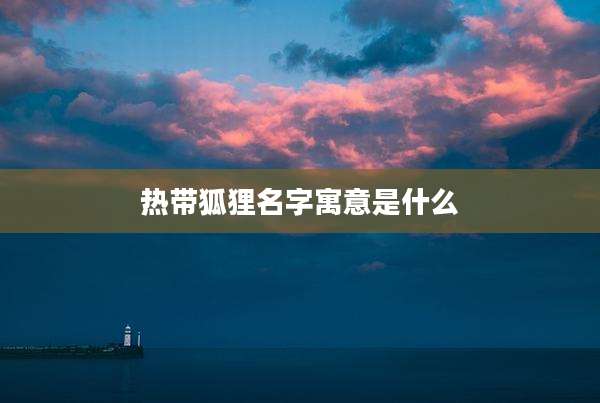 热带狐狸名字寓意是什么