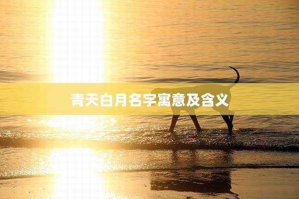青天白月名字寓意及含义