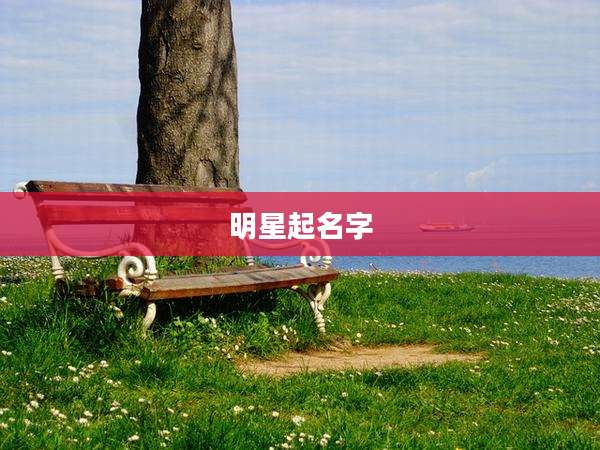 明星起名字
