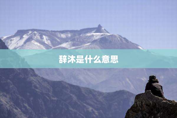 辞沐是什么意思