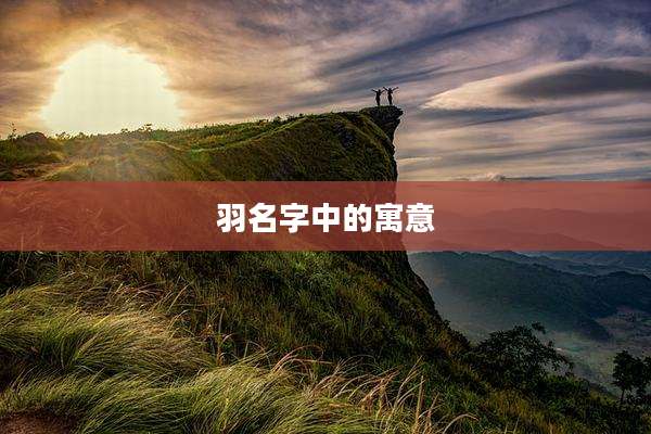 羽名字中的寓意