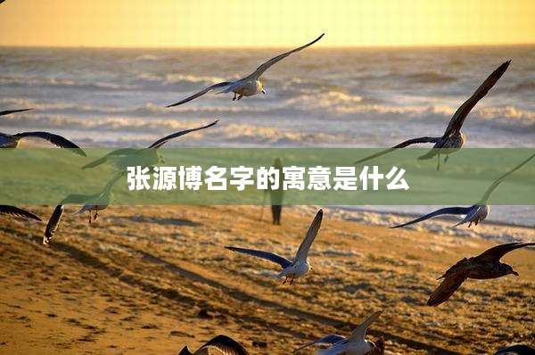 张源博名字的寓意是什么
