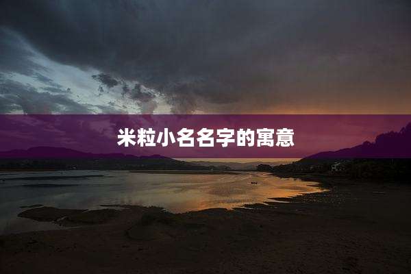 米粒小名名字的寓意