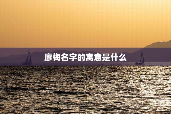 廖梅名字的寓意是什么