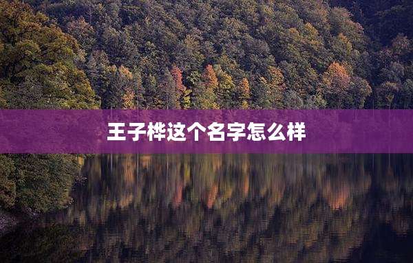 王子桦这个名字怎么样
