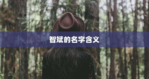 智斌的名字含义