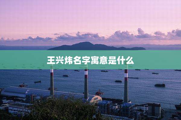 王兴炜名字寓意是什么