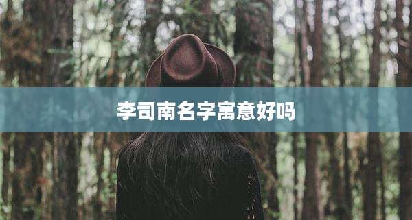 李司南名字寓意好吗