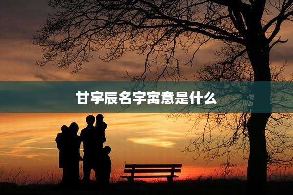 甘宇辰名字寓意是什么