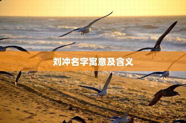 刘冲名字寓意及含义