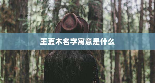 王夏木名字寓意是什么
