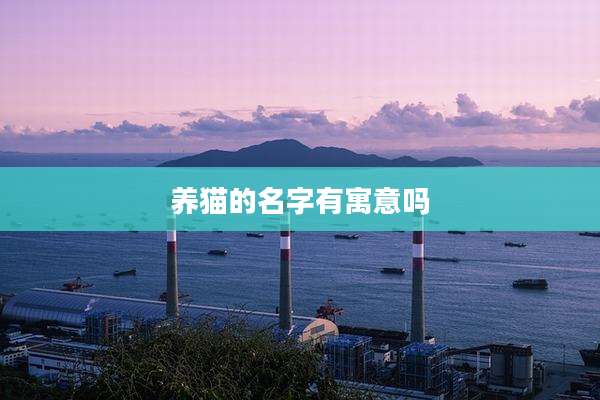 养猫的名字有寓意吗