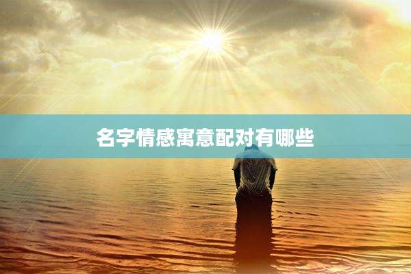 名字情感寓意配对有哪些