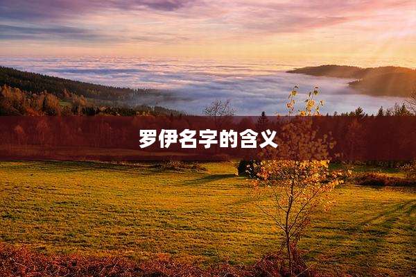 罗伊名字的含义