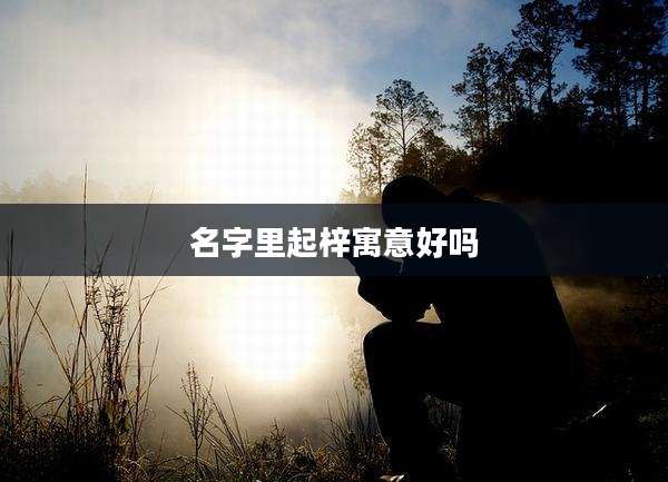 名字里起梓寓意好吗