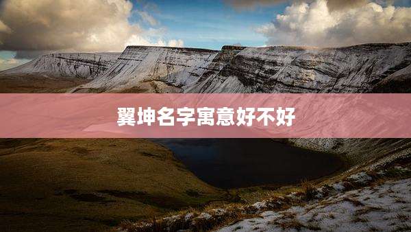 翼坤名字寓意好不好