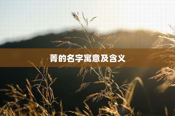 菁的名字寓意及含义
