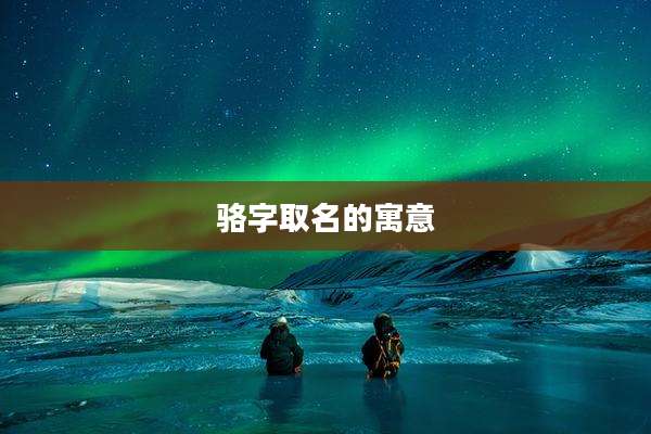 骆字取名的寓意