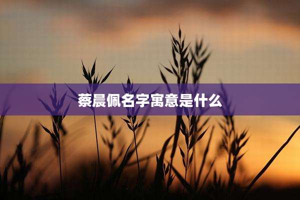 蔡晨佩名字寓意是什么