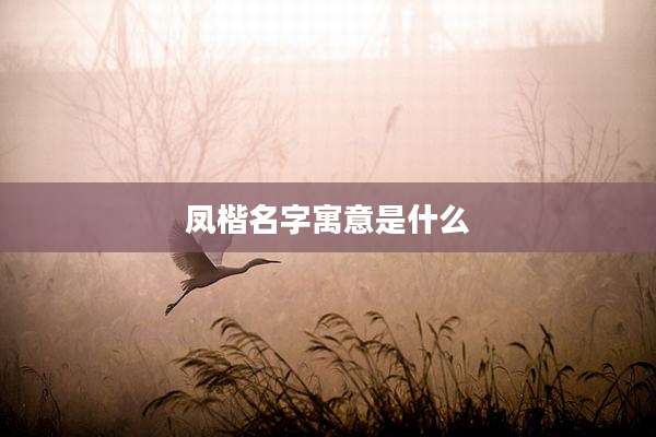 凤楷名字寓意是什么