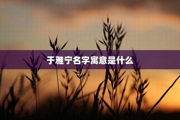 于雅宁名字寓意是什么