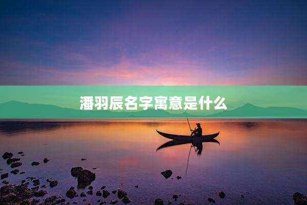 潘羽辰名字寓意是什么