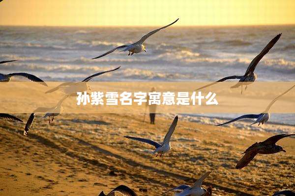 孙紫雪名字寓意是什么