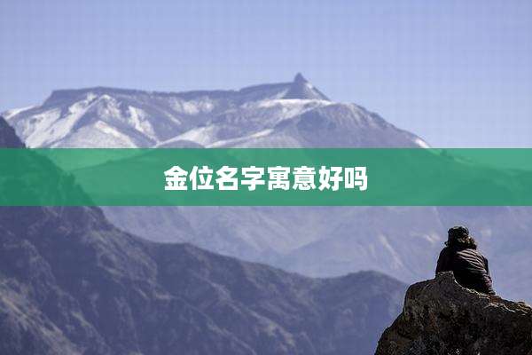 金位名字寓意好吗