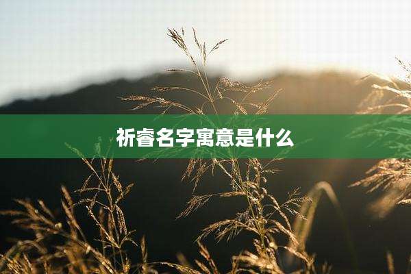 祈睿名字寓意是什么