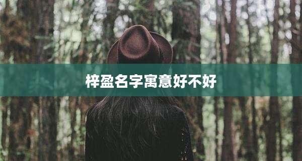 梓盈名字寓意好不好