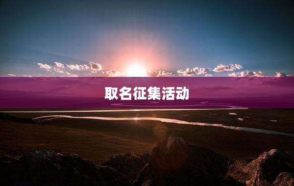 取名征集活动
