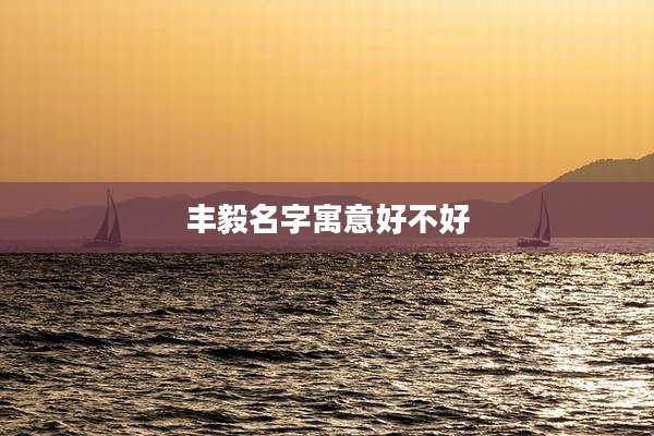 丰毅名字寓意好不好