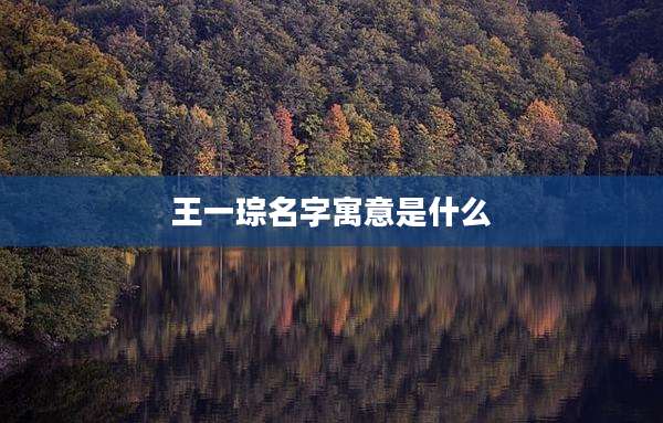 王一琮名字寓意是什么