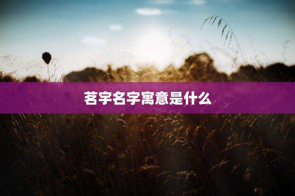 茗宇名字寓意是什么