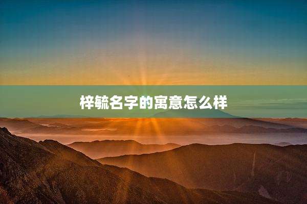 梓毓名字的寓意怎么样