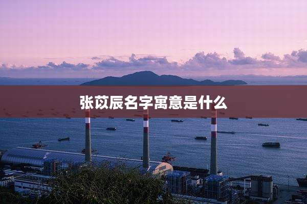 张苡辰名字寓意是什么