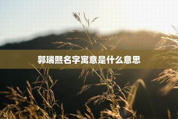 郭瑞熙名字寓意是什么意思
