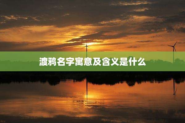 渡鸦名字寓意及含义是什么