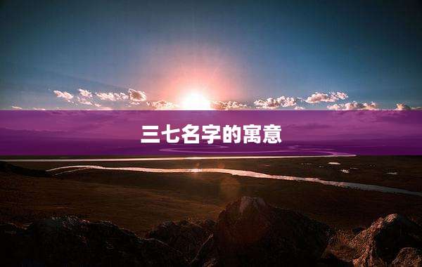 三七名字的寓意