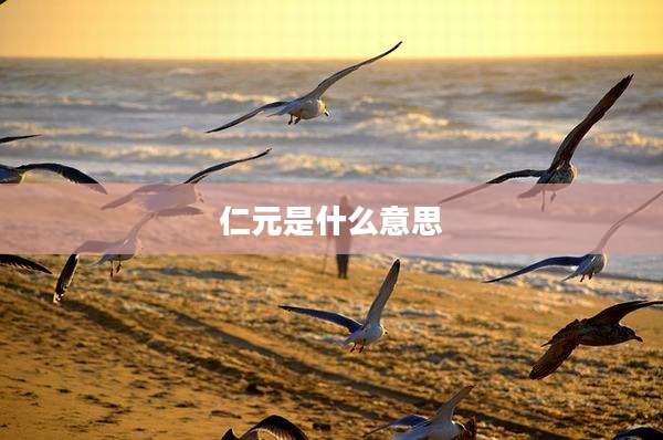 仁元是什么意思