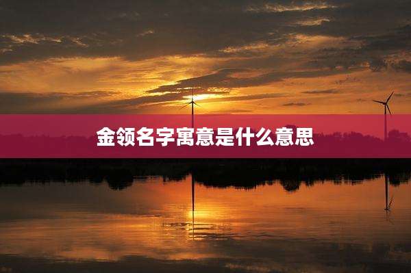 金领名字寓意是什么意思