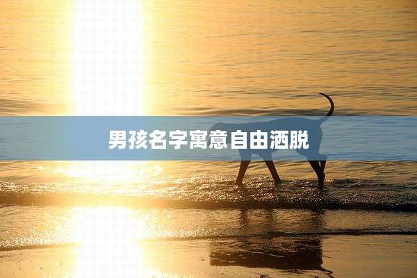 男孩名字寓意自由洒脱