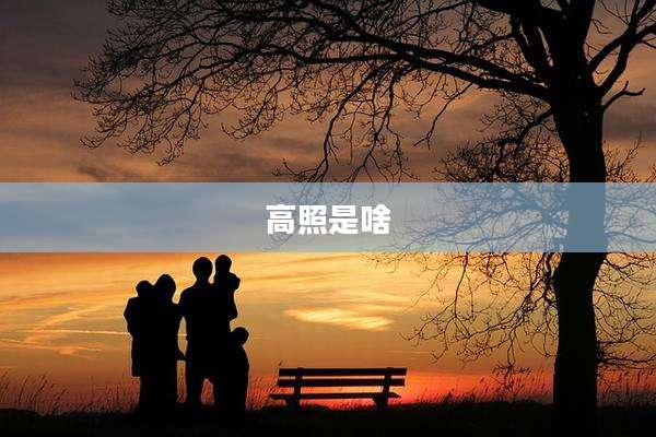 高照是啥