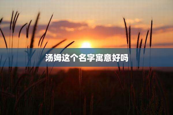汤姆这个名字寓意好吗
