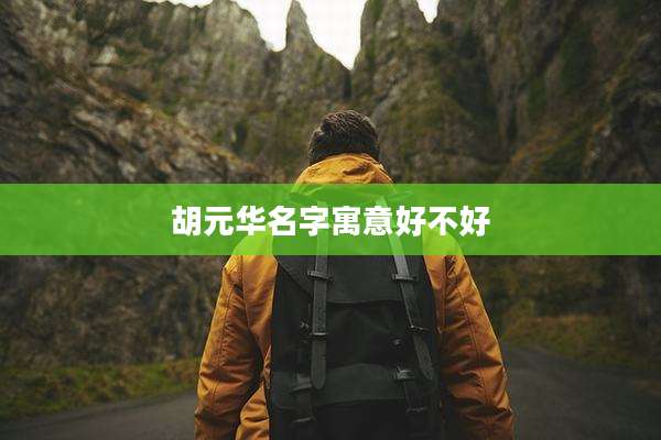 胡元华名字寓意好不好